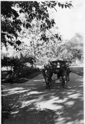 La rivière de Saigon